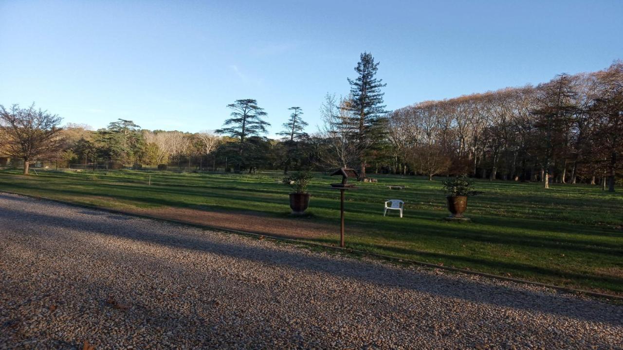La Chapelle De Fontmagne - Piscine, Tennis Et Grand Parc - Castries Zewnętrze zdjęcie